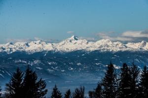 phoca_thumb_l_DSC_5701