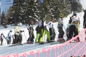 phoca_thumb_l_DSC_6004