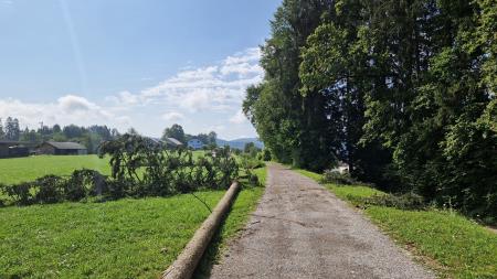 20230720_095315_resized