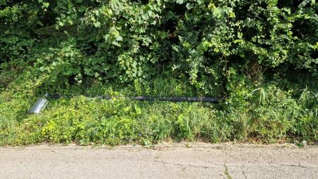 20230720_095826_resized