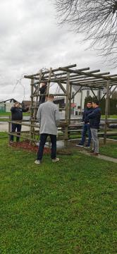 Rez stare vinske trte