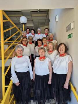 VišMarke (foto: OŠ Vodice)