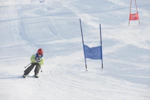 V nedeljo, 8. februarja 2015, je bilo na Krvavcu prešerno