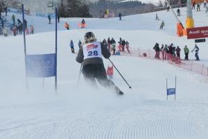 V nedeljo, 8. februarja 2015, je bilo na Krvavcu prešerno