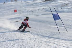 V nedeljo, 8. februarja 2015, je bilo na Krvavcu prešerno