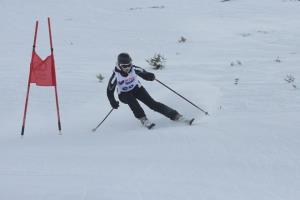 V nedeljo, 8. februarja 2015, je bilo na Krvavcu prešerno