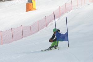 V nedeljo, 8. februarja 2015, je bilo na Krvavcu prešerno