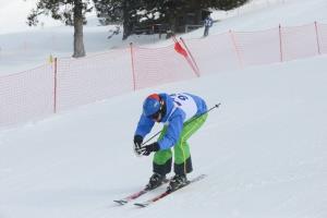 V nedeljo, 8. februarja 2015, je bilo na Krvavcu prešerno