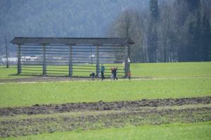 16. čistilna akcija je bila zelo uspešna!